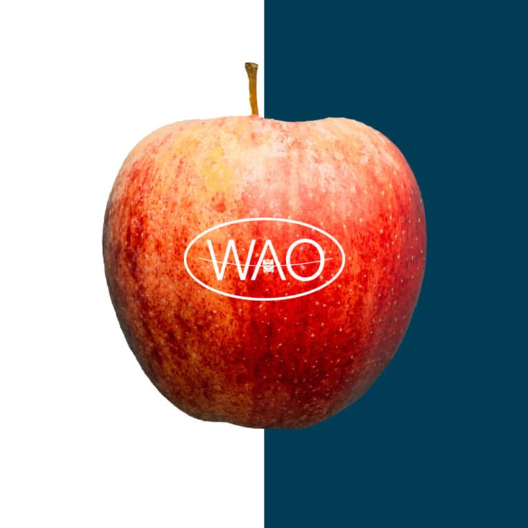 WAO_instagram_teachers1